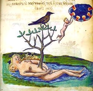 Rosarium Hermaphrodite